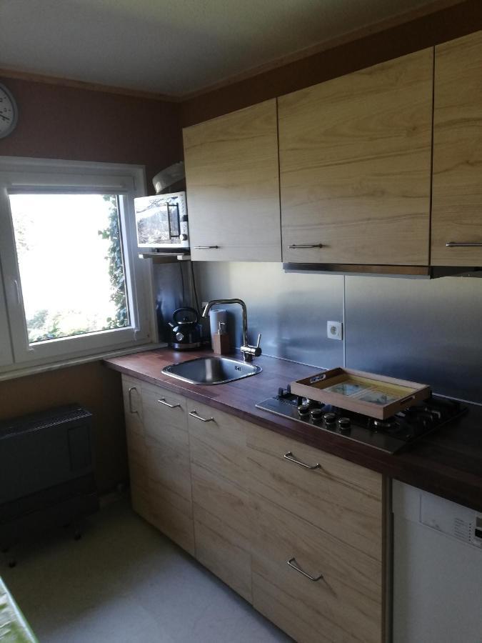 Haus Pauline Apartman Montenau Kültér fotó
